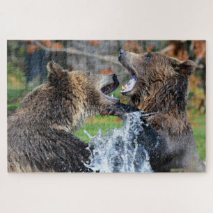 Grizzly Bears Kämpfe gegen das Puzzle