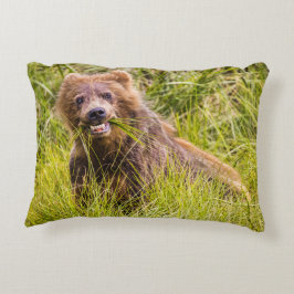 Grizzly cuzing, Alaska Dekokissen