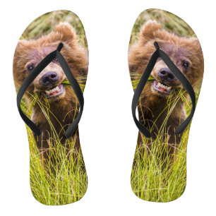Grizzly cuzing, Alaska Flip Flops