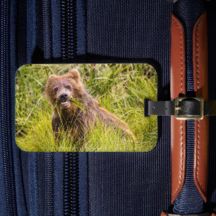 Grizzly cuzing, Alaska Gepäckanhänger
