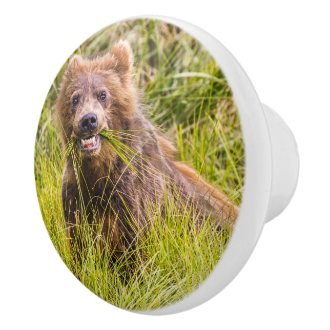 Grizzly cuzing, Alaska Keramikknauf (Rechts)