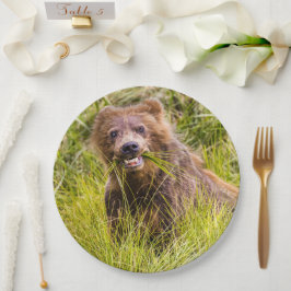 Grizzly cuzing, Alaska Pappteller