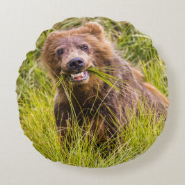 Grizzly cuzing, Alaska Rundes Kissen