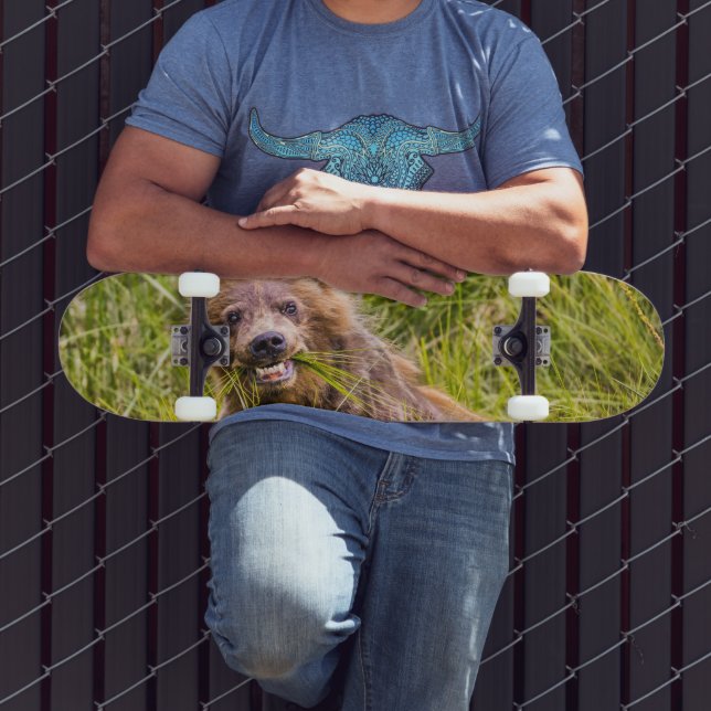 Grizzly cuzing, Alaska Skateboard (Außenbereich 3)