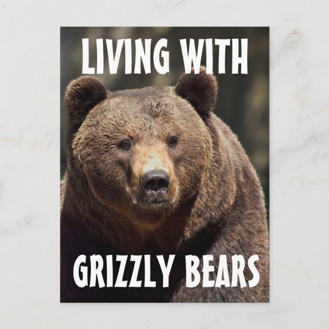 GRIZZLY MAN LEBT MIT BÄRENPOSTKARTEN POSTKARTE (Vorderseite)
