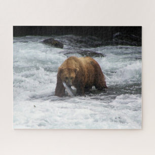 Grizzlybär Alaska Lachs Angeln Wildtiere