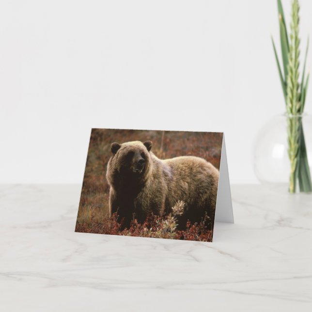 Grizzlybär-Anmerkungs-Karte Karte (Vorderseite)