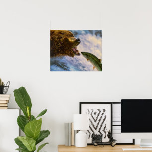 Grizzlybär-anziehende Stahlkopf-Lachse Poster