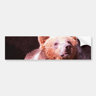Grizzlybär Autoaufkleber