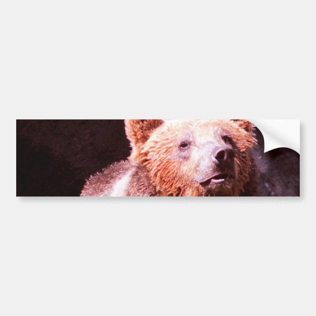 Grizzlybär Autoaufkleber (Vorne)