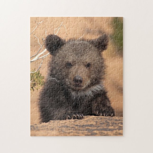 Grizzlybär CUB (Vertikal)
