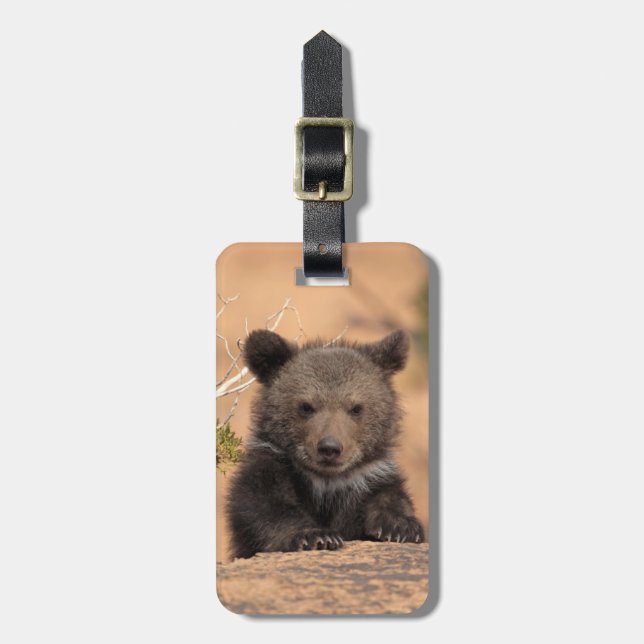 Grizzlybär CUB Gepäckanhänger (Vorderseite vertikal)