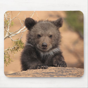 Grizzlybär CUB Mousepad