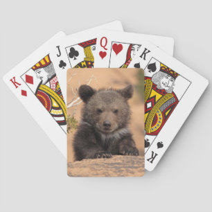 Grizzlybär Cub Spielkarten