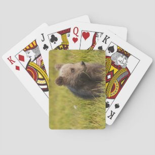 Grizzlybär Cub Spielkarten