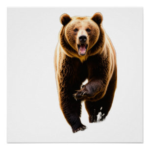 Grizzlybär greift einen Mann von hinten in 8K an Poster