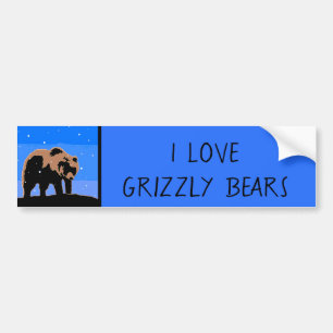Grizzlybär im Winter - Original Wildlife Art Autoaufkleber