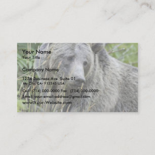 Grizzlybär in Yellowstone Nationalpark Visitenkarte
