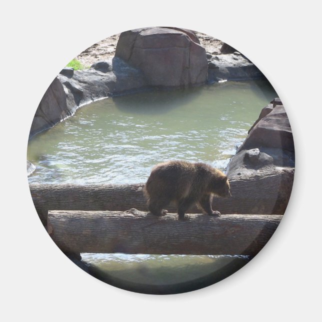 Grizzlybär Magnet (Vorne)
