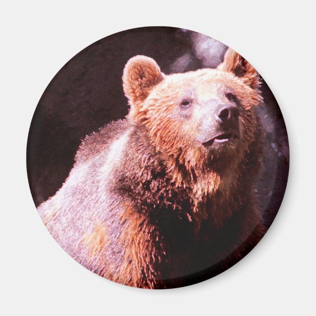 Grizzlybär Magnet (Vorne)