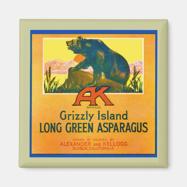 Grizzlybär Magnet (Vorne)