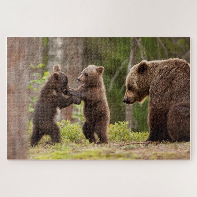 Grizzlybär Mama mit spielerischen Cubs (Horizontal)