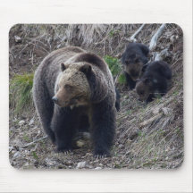 Grizzlybär mit CUB Mousepad