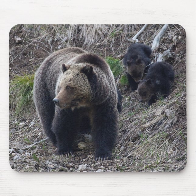 Grizzlybär mit CUB Mousepad (Vorne)