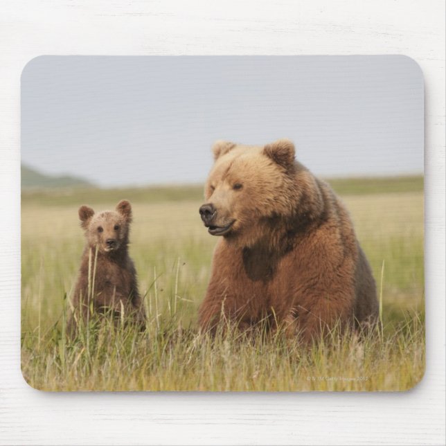 Grizzlybär mit CUB Mousepad (Vorne)