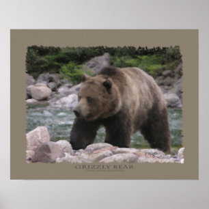 Grizzlybär - Pastelle Poster