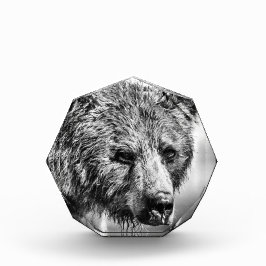 Grizzlybär-Portrait Fotoblock