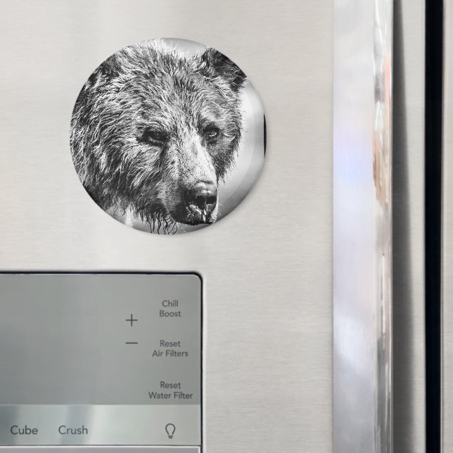 Grizzlybär-Portrait Magnet (In Situ (Kühlschrank))