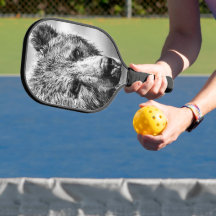 Grizzlybär-Portrait