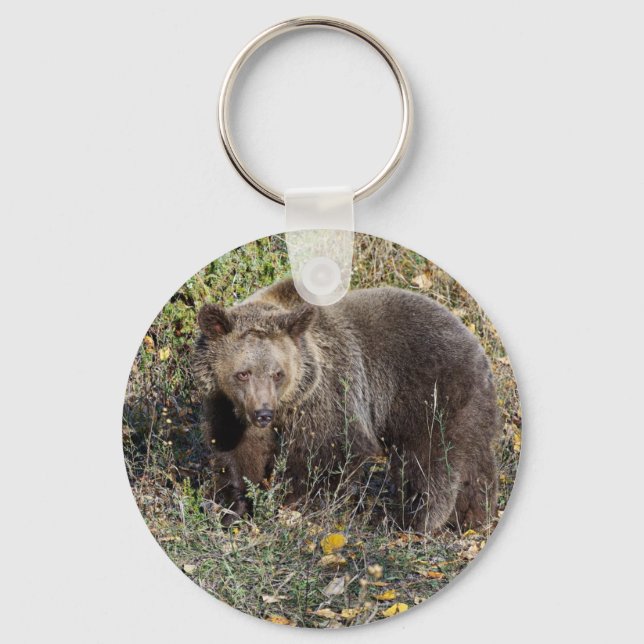 Grizzlybär Schlüsselanhänger (Vorderseite)