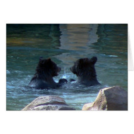 Grizzlybär Schwimmbad Party