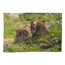 Grizzlybär-SpielFighting