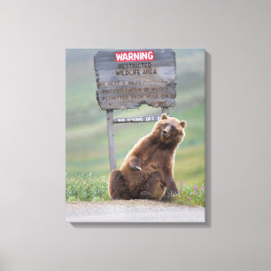 Grizzlybär spielt mit Schild