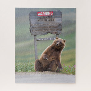 Grizzlybär spielt mit Schild