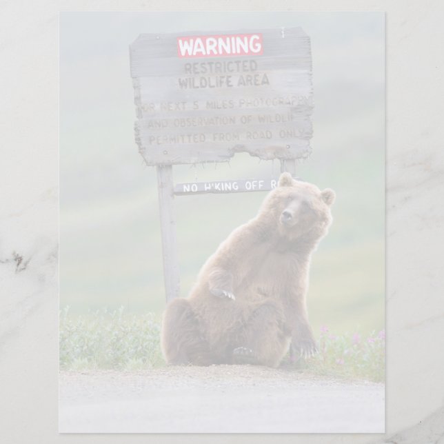 Grizzlybär spielt mit Schild (Vorderseite)