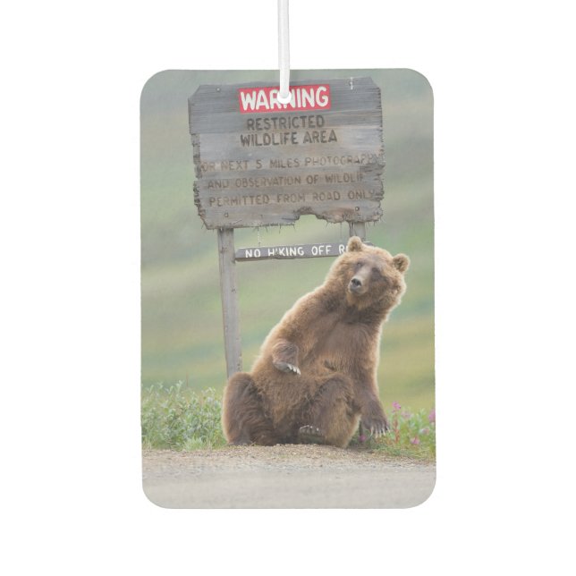 Grizzlybär spielt mit Schild Autolufterfrischer (Vorderseite)