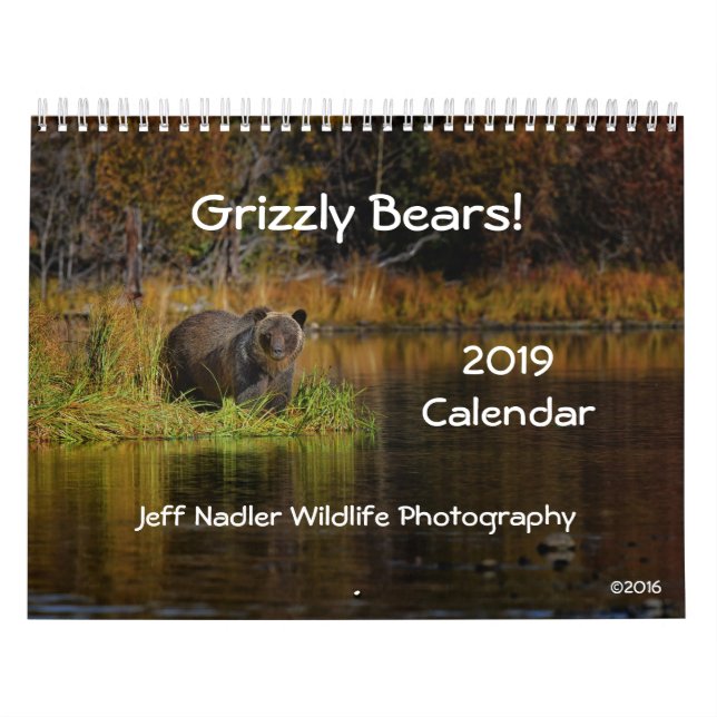 Grizzlybären - 2019 Wandkalender (Titelbild)