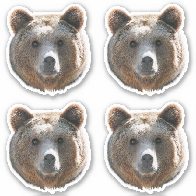 Grizzlybären Aufkleber (Vorderseite)