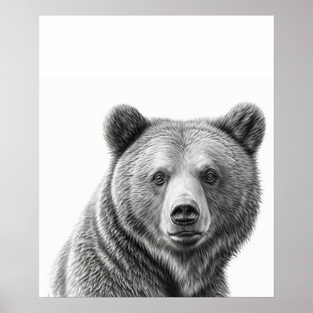 Grizzlybären-Portrait Schwarz-weiß Poster (Vorne)