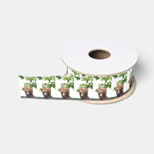 Grizzlybären Ripsband