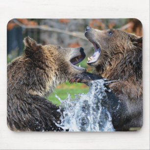 Grizzlybärkampf Mousepad