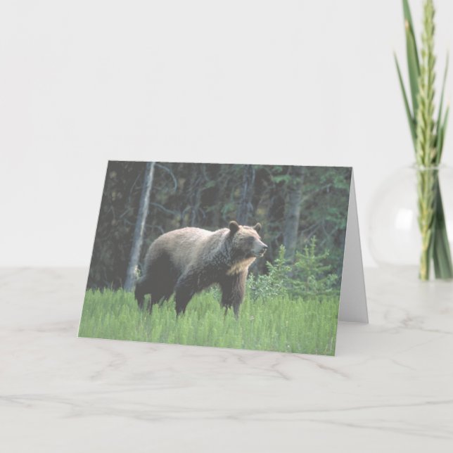 Grizzy Bear Woods Card Karte (Vorderseite)