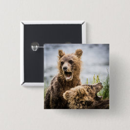 Grizzy Cubs suchen nach ihrer Mutter Button