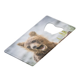 Grizzy Cubs suchen nach ihrer Mutter Geldbeutel Flaschenöffner