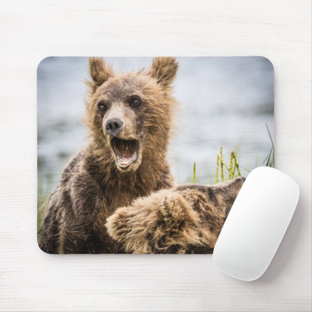Grizzy Cubs suchen nach ihrer Mutter Mousepad (Mit Mouse)