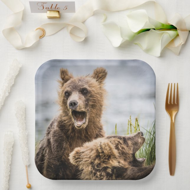 Grizzy Cubs suchen nach ihrer Mutter Pappteller (Hochzeit)